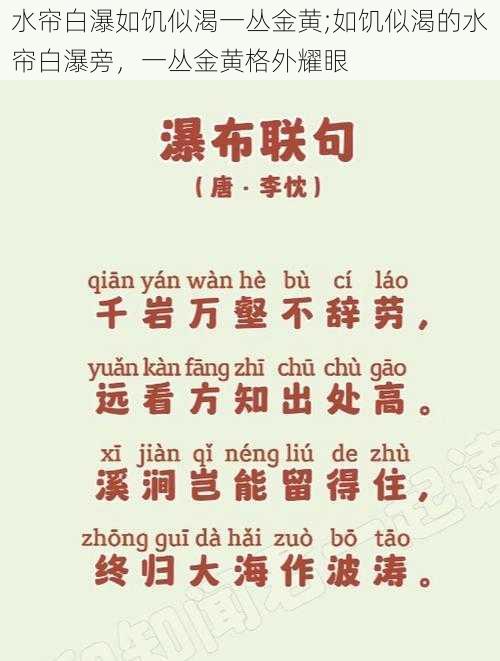 水帘白瀑如饥似渴一丛金黄;如饥似渴的水帘白瀑旁，一丛金黄格外耀眼