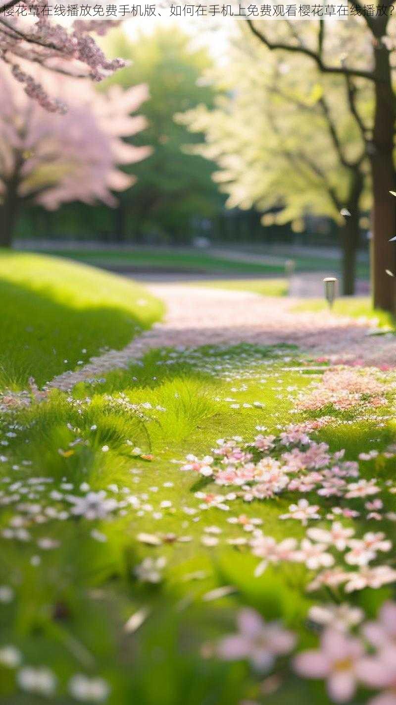 樱花草在线播放免费手机版、如何在手机上免费观看樱花草在线播放？