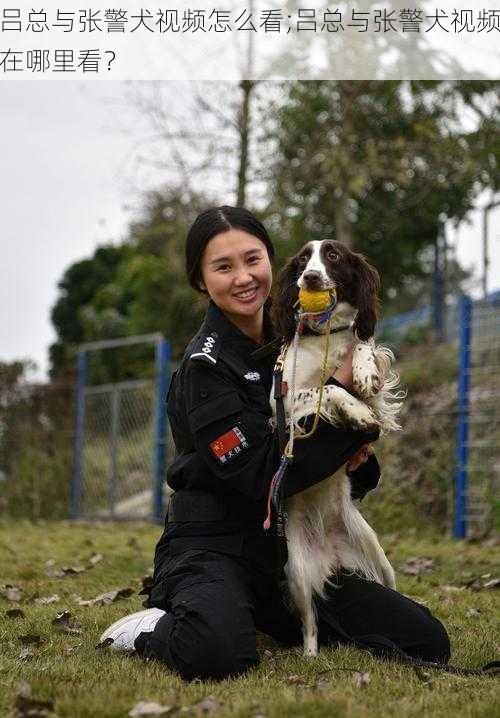 吕总与张警犬视频怎么看;吕总与张警犬视频在哪里看？