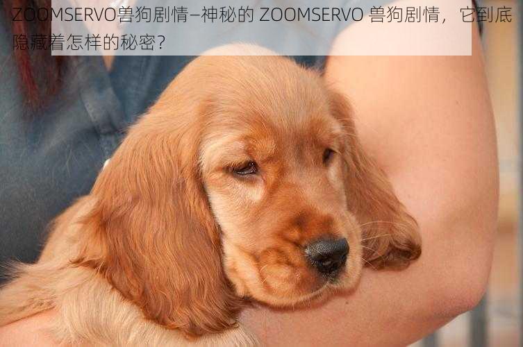 ZOOMSERVO兽狗剧情—神秘的 ZOOMSERVO 兽狗剧情，它到底隐藏着怎样的秘密？