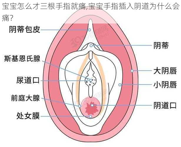 宝宝怎么才三根手指就痛,宝宝手指插入阴道为什么会痛？