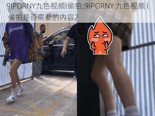 9lPORNY九色视频l偷拍;9lPORNY 九色视频 l 偷拍是否需要的内容？