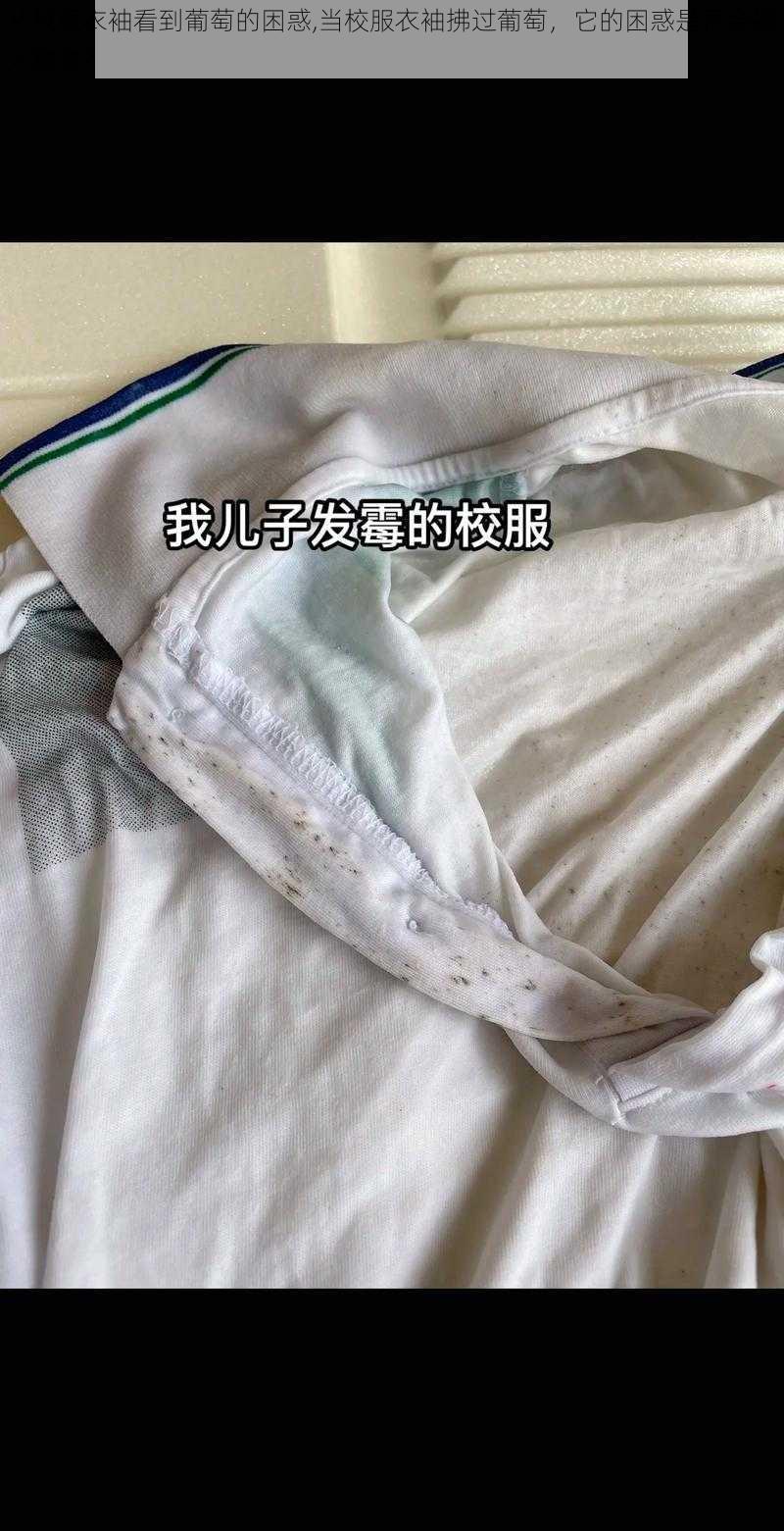 从校服衣袖看到葡萄的困惑,当校服衣袖拂过葡萄，它的困惑是否会被人察觉？