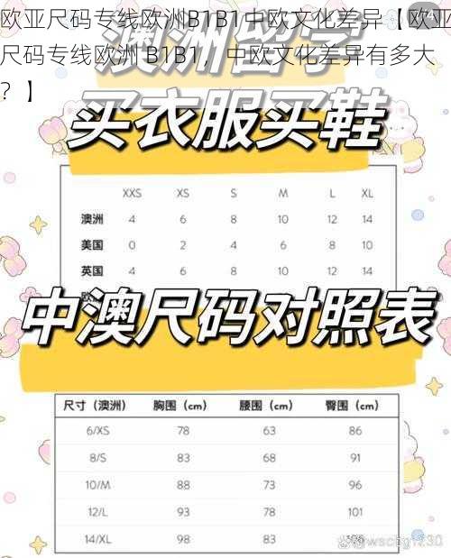 欧亚尺码专线欧洲B1B1中欧文化差异【欧亚尺码专线欧洲 B1B1，中欧文化差异有多大？】