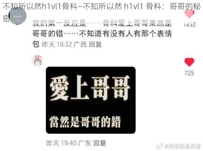 不知所以然h1vl1骨科—不知所以然 h1vl1 骨科：哥哥的秘密