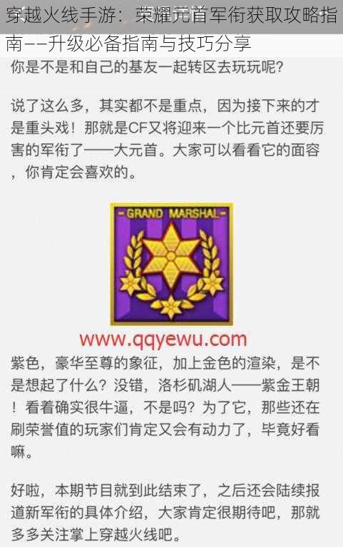 穿越火线手游：荣耀元首军衔获取攻略指南——升级必备指南与技巧分享