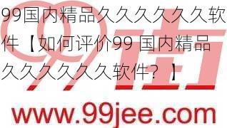 99国内精品久久久久久久软件【如何评价99 国内精品久久久久久久软件？】