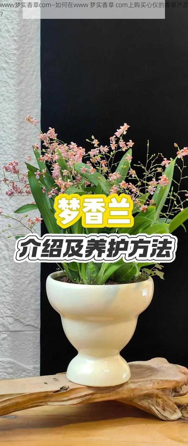 www梦实香草com—如何在www 梦实香草 com上购买心仪的香草产品？