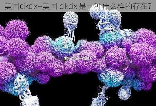 美国cikcix—美国 cikcix 是一种什么样的存在？