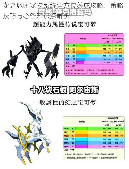 龙之怒吼宠物系统全方位养成攻略：策略、技巧与必备知识点解析