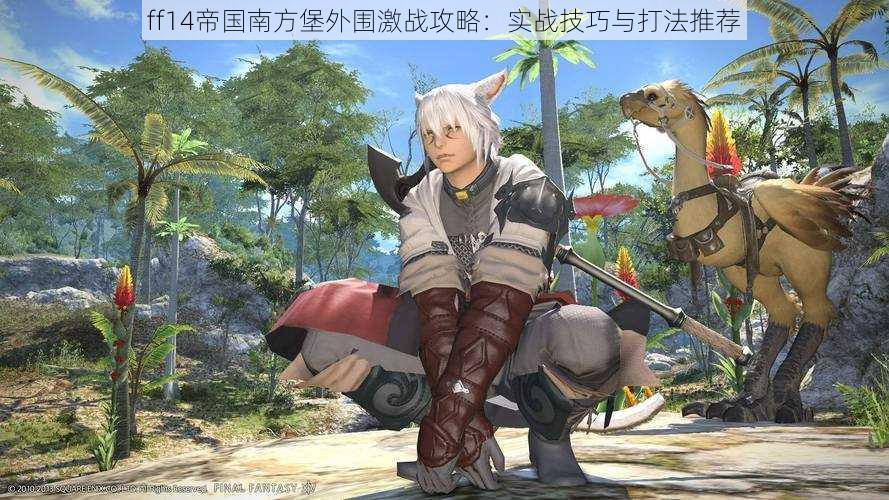 ff14帝国南方堡外围激战攻略：实战技巧与打法推荐