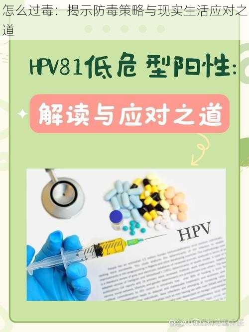 怎么过毒：揭示防毒策略与现实生活应对之道