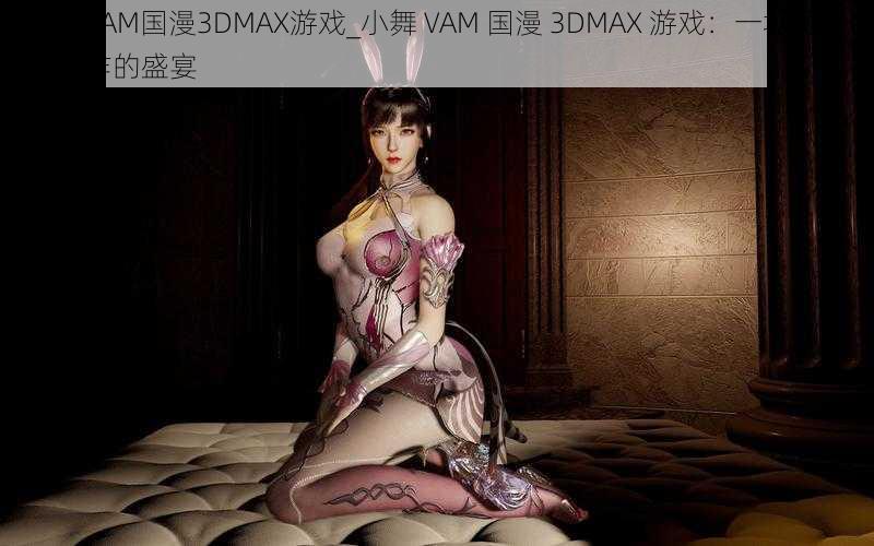 小舞VAM国漫3DMAX游戏_小舞 VAM 国漫 3DMAX 游戏：一场视觉与动作的盛宴