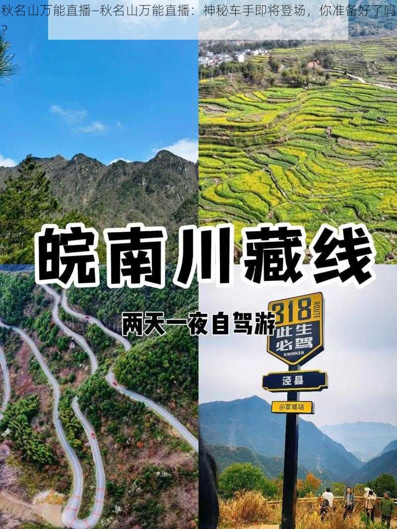 秋名山万能直播—秋名山万能直播：神秘车手即将登场，你准备好了吗？