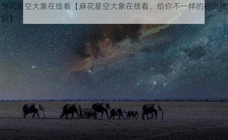 麻花星空大象在线看【麻花星空大象在线看，给你不一样的视觉体验】