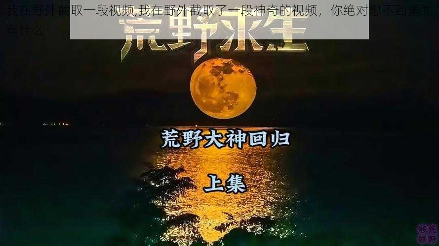 我在野外截取一段视频,我在野外截取了一段神奇的视频，你绝对想不到里面有什么