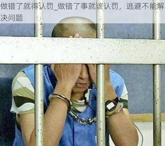 做错了就得认罚_做错了事就该认罚，逃避不能解决问题