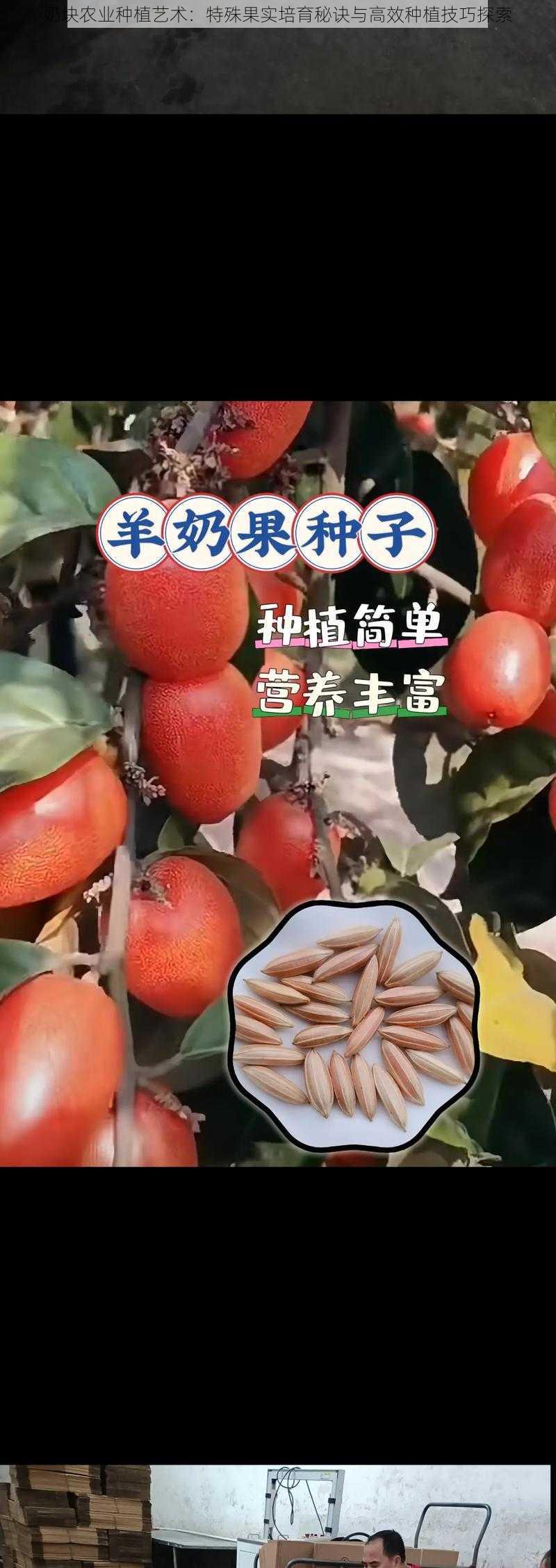 奶块农业种植艺术：特殊果实培育秘诀与高效种植技巧探索