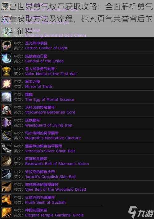 魔兽世界勇气纹章获取攻略：全面解析勇气纹章获取方法及流程，探索勇气荣誉背后的战斗征程