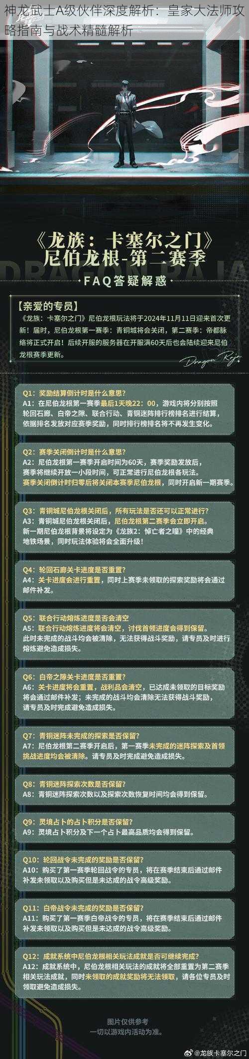 神龙武士A级伙伴深度解析：皇家大法师攻略指南与战术精髓解析