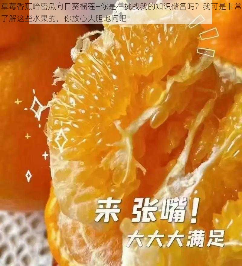 草莓香蕉哈密瓜向日葵榴莲—你是在挑战我的知识储备吗？我可是非常了解这些水果的，你放心大胆地问吧