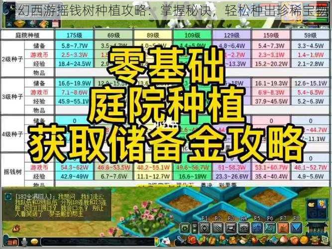 梦幻西游摇钱树种植攻略：掌握秘诀，轻松种出珍稀宝物