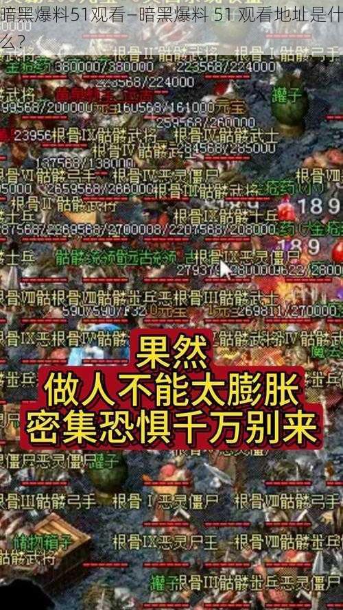 暗黑爆料51观看—暗黑爆料 51 观看地址是什么？