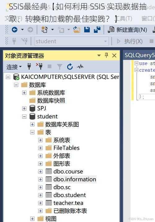 SSIS最经典【如何利用 SSIS 实现数据抽取、转换和加载的最佳实践？】