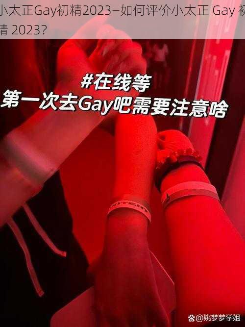 小太正Gay初精2023—如何评价小太正 Gay 初精 2023？