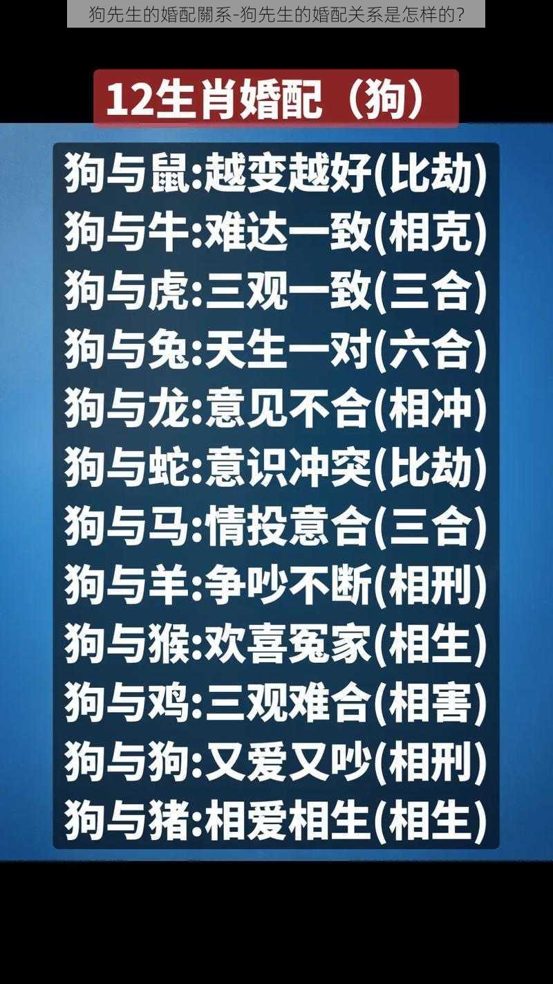 狗先生的婚配關系-狗先生的婚配关系是怎样的？