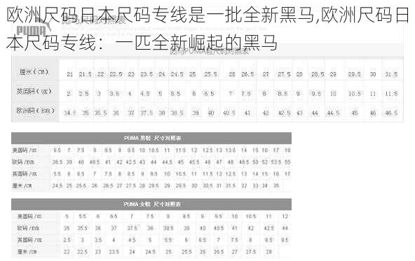 欧洲尺码日本尺码专线是一批全新黑马,欧洲尺码日本尺码专线：一匹全新崛起的黑马