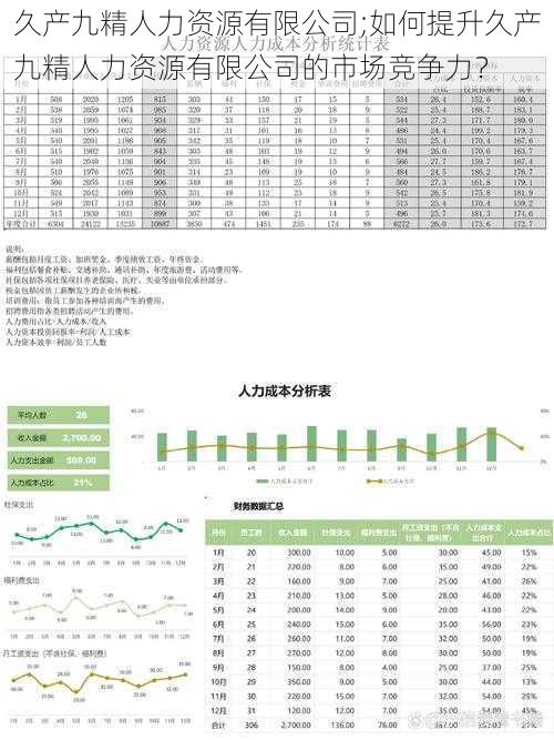 久产九精人力资源有限公司;如何提升久产九精人力资源有限公司的市场竞争力？