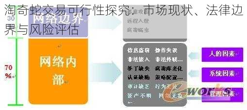 淘奇蛇交易可行性探究：市场现状、法律边界与风险评估