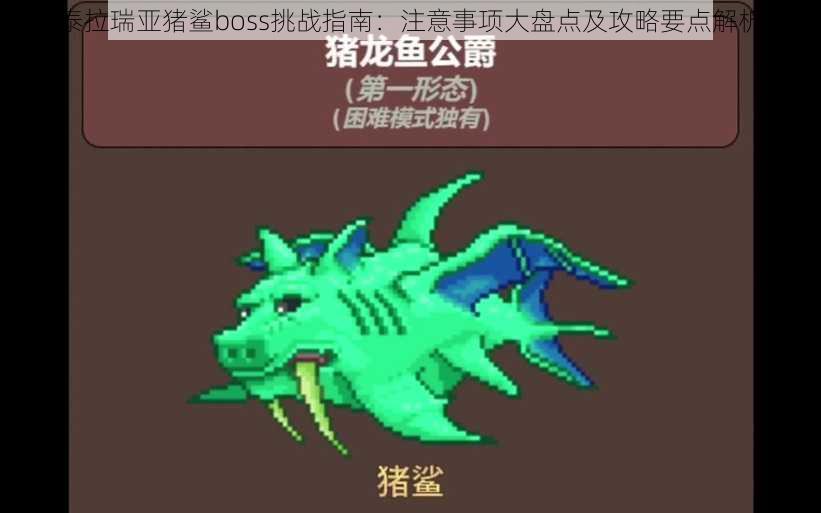 泰拉瑞亚猪鲨boss挑战指南：注意事项大盘点及攻略要点解析