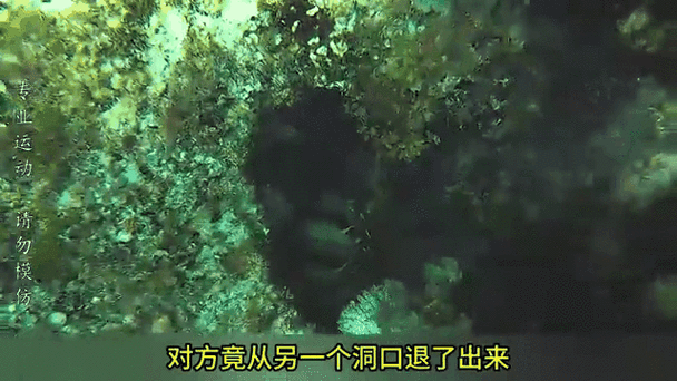 野河深潭交汇处：龙虾丰富的秘密宝藏地