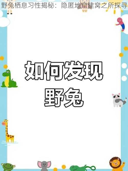 野兔栖息习性揭秘：隐匿地窟建窝之所探寻