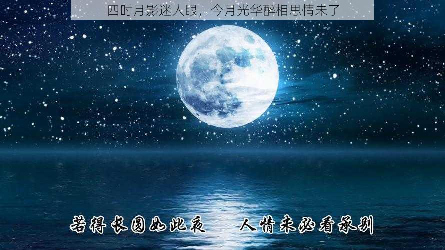 四时月影迷人眼，今月光华醉相思情未了