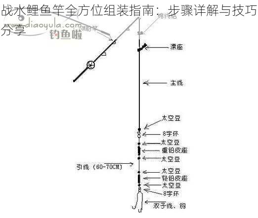 战水鲤鱼竿全方位组装指南：步骤详解与技巧分享