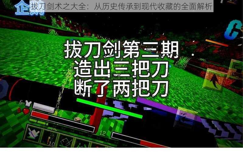 拔刀剑术之大全：从历史传承到现代收藏的全面解析