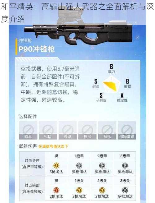 和平精英：高输出强大武器之全面解析与深度介绍