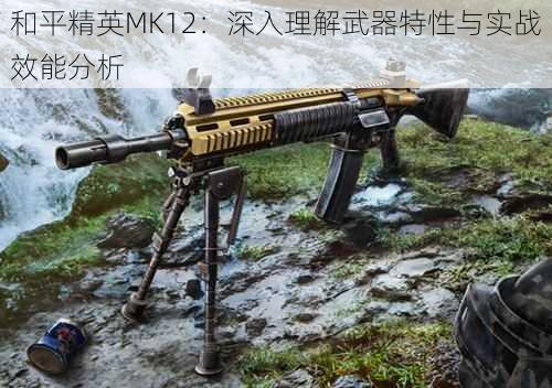 和平精英MK12：深入理解武器特性与实战效能分析