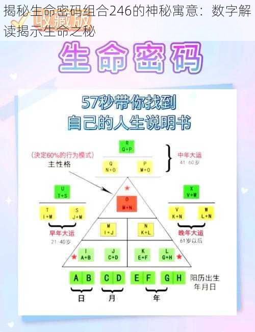 揭秘生命密码组合246的神秘寓意：数字解读揭示生命之秘