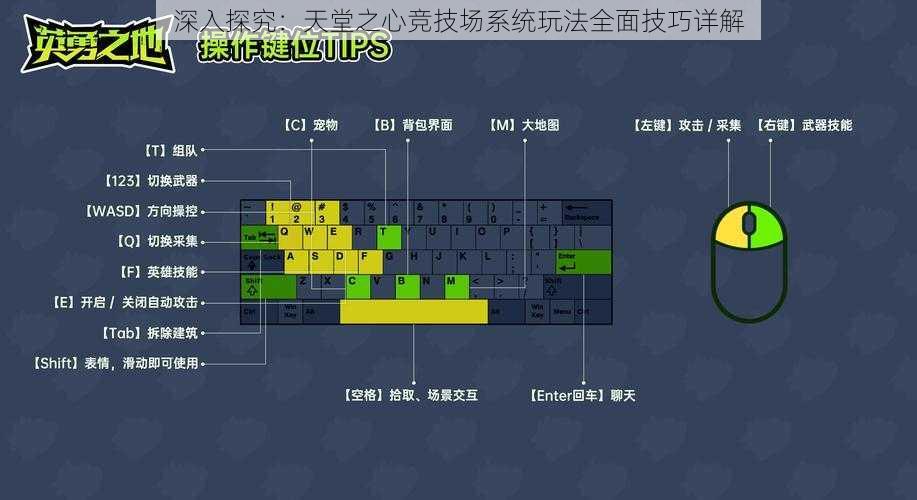 深入探究：天堂之心竞技场系统玩法全面技巧详解