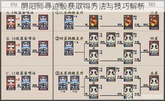 阴阳师寻迹骰获取得方法与技巧解析